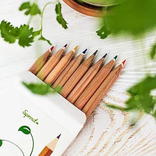 Color Your World and Grow It Too with Plantable Colored Pencil Set