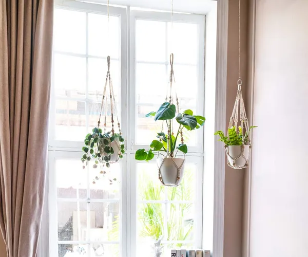 Macrame Indoor Plant Hangers