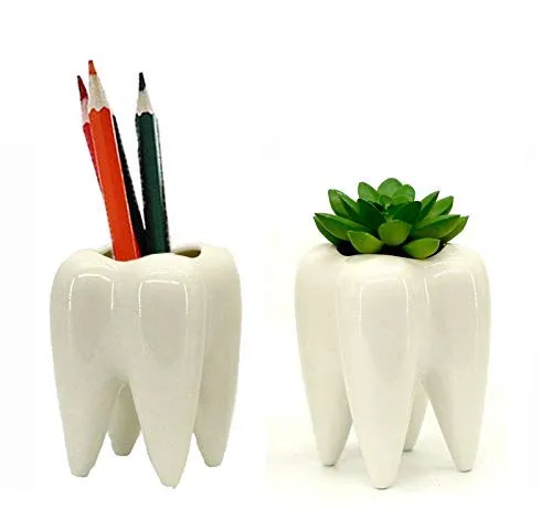 Add Charm to Your Office with Teeth Planter Pots