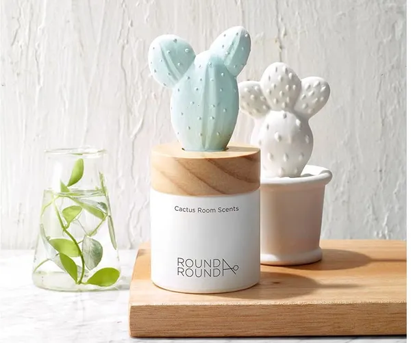 Cute and Calm Cactus Aromatherapy Diffuser