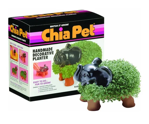 Grow Your Own Chia Pet Elephant