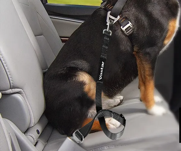 Keep Your Furry Friend Safe with the Adjustable Pet Car Seat Belt
